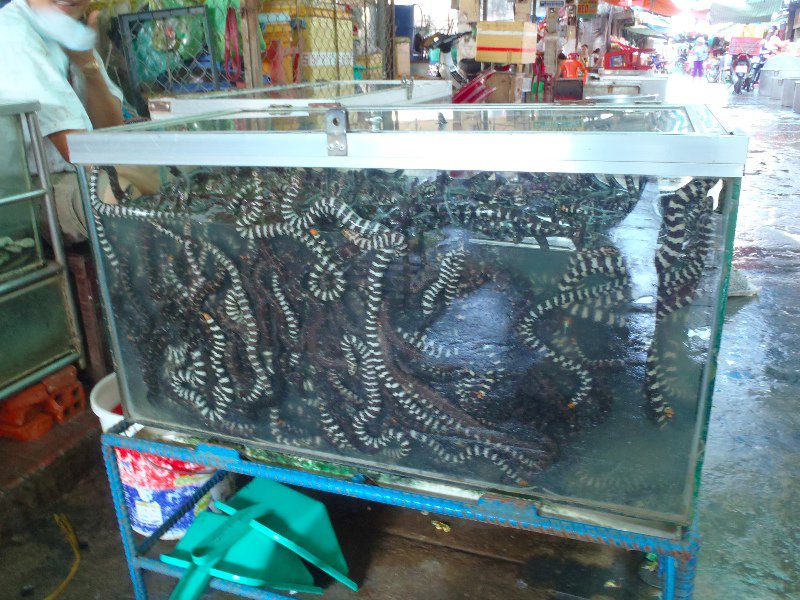 I'll have a kilo of water snake please, said no one ever