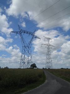 Cow-shaped pylons!