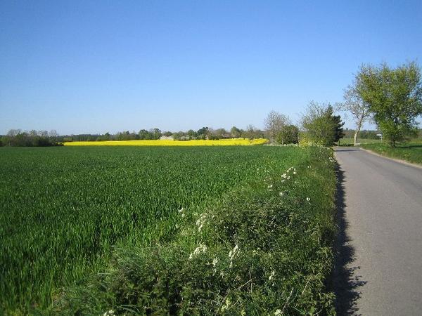 More countryside to cycle through...