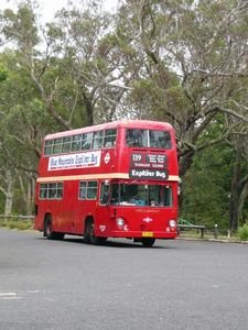 A London Bus in the Blue Mountains...