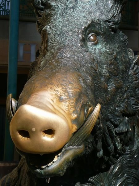 Rub the snout for 'luck', once a donation is given to the hospital!