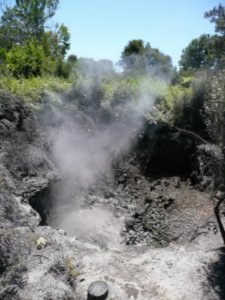 Rotorua geothermal (sulphur) pools