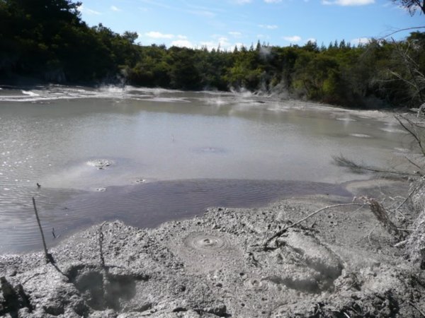 The mud pool