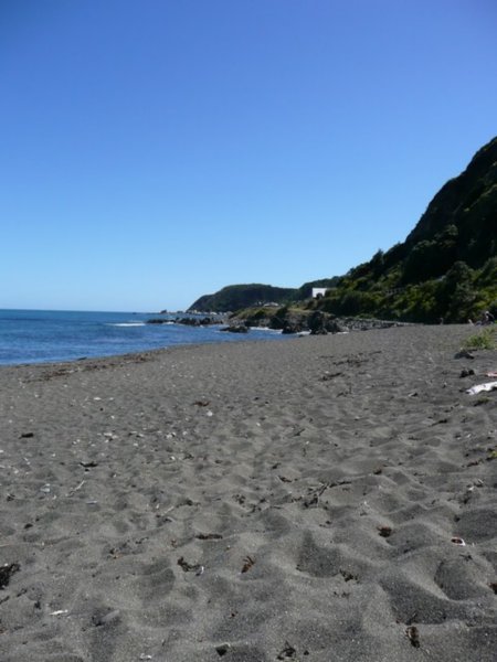 Wellington's fine sandy beaches!