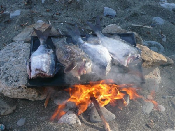 Fish cooking