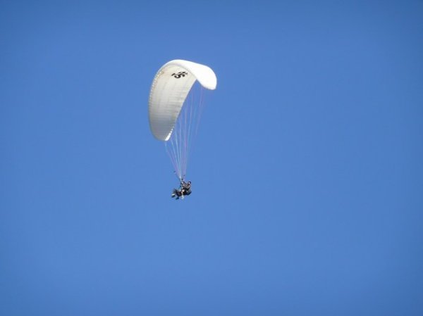 Paragliders (or is it skydivers?!)