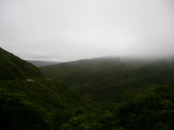 The misty journey out of Wellington