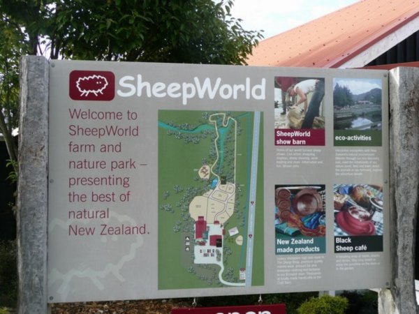 Sheep World