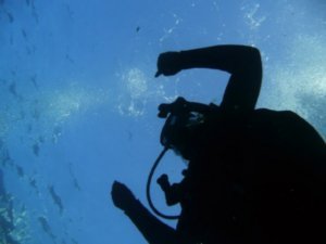Diving with my camera!