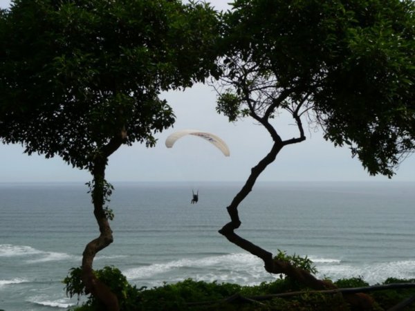 Paraglider on the coast