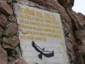 Condor spot