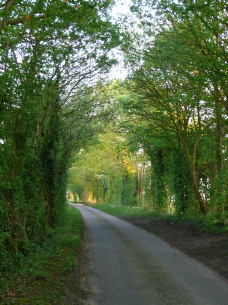 Country Lane'