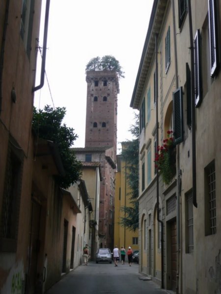 The tower with trees