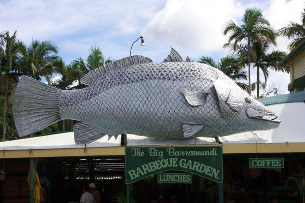 a BIG fish!