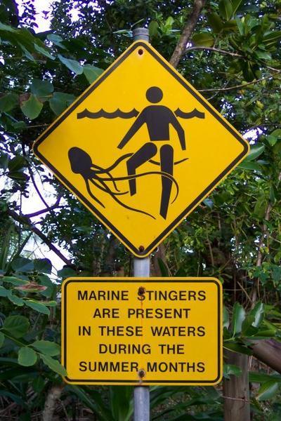 Marine Stingers Sign