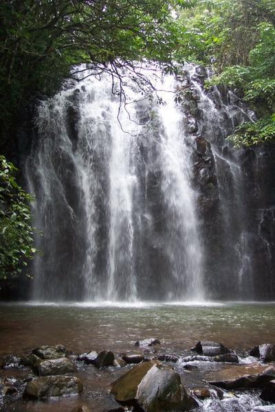 One of many spectacular tropical falls near Cairns