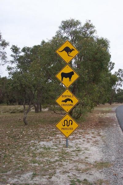 Aussie Road Signs