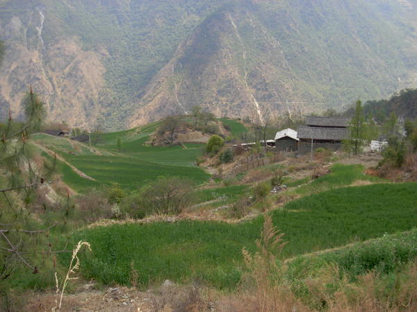 Tiger Leaping Gorge 5