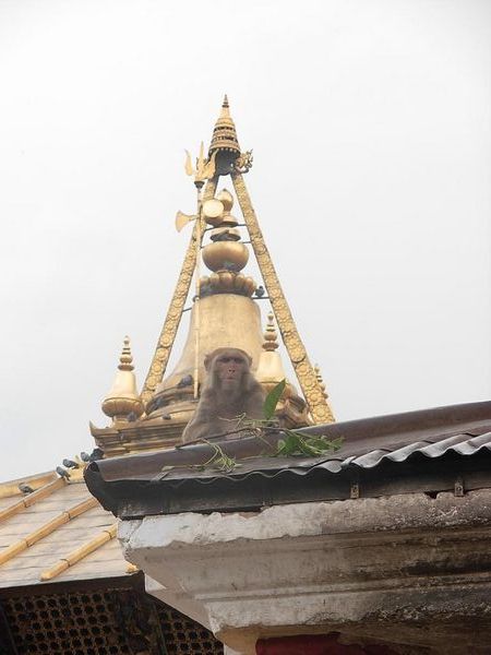 Kathmandu 4