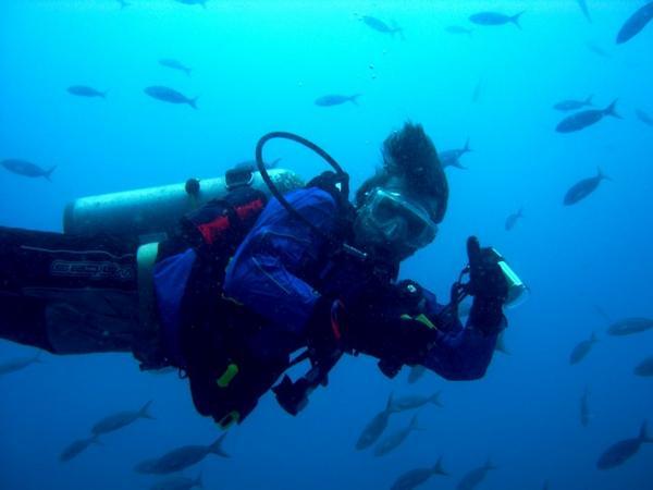 Diving in the galapagos
