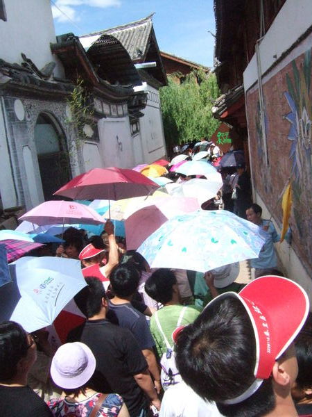 Umbrellas in the street