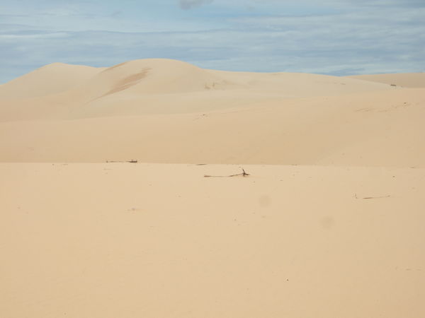 At the white sand dunes