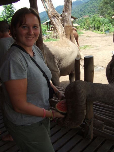 Chrissie feeding the elephants