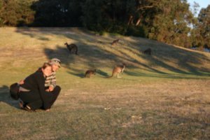 Us and the roos