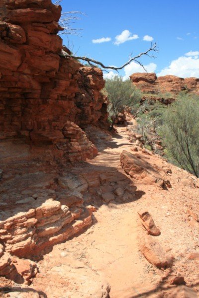 Path in Kings Canyon