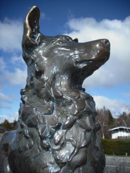The sheep dog memorial
