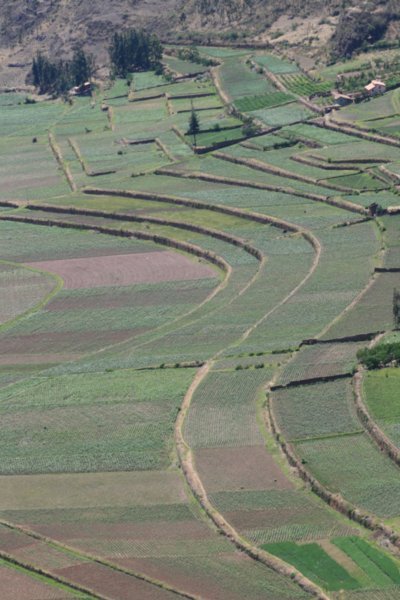 Piscac inca ruins