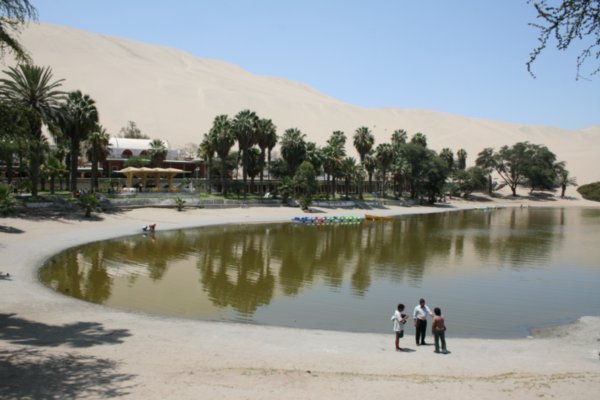 The oasis