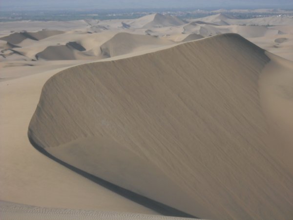Dune buggies and sandboarding