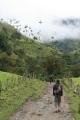 Walking in Cocora