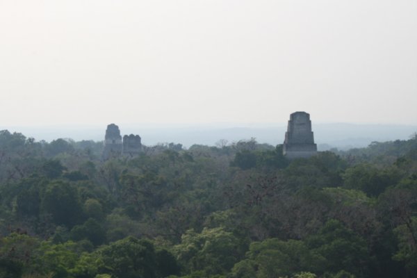 View fromTemple IV, Tikal