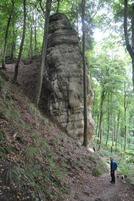 Tall outcrops and tall trees