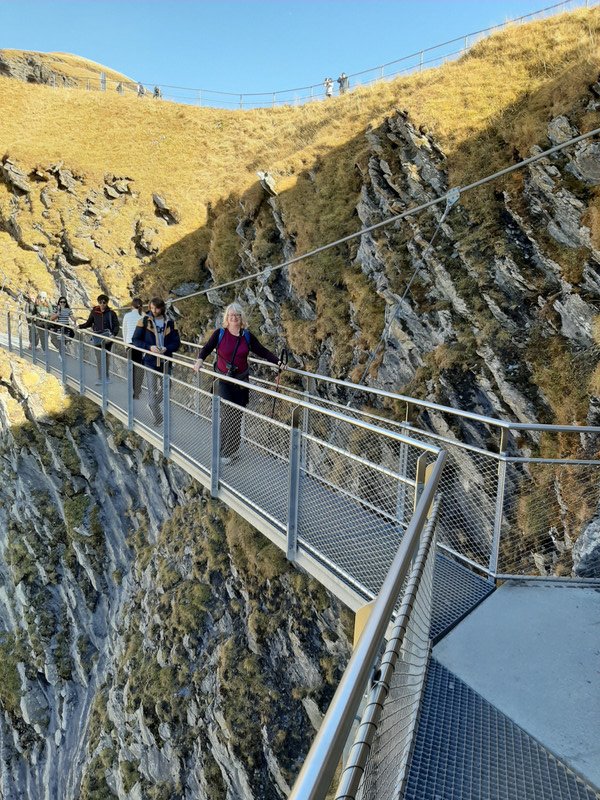 Tissot aerial walk way,  Grindelwald
