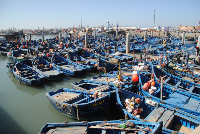Essaouira busy Fishing Fleet.