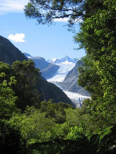 driving home along the west coast- a view of Fox Glacier