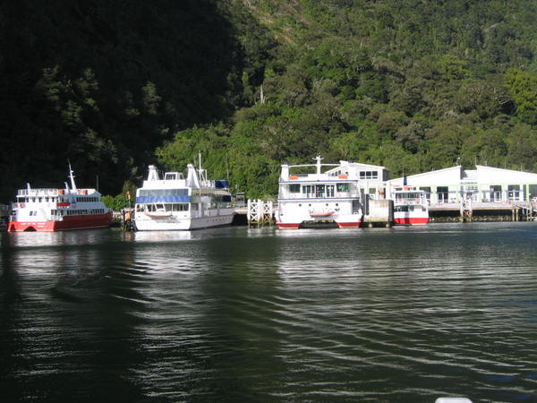 the boat dock at Milford Sound- 