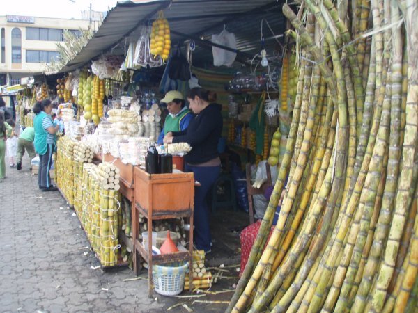 sugar cane stands with tons of sweets for sale along the roads