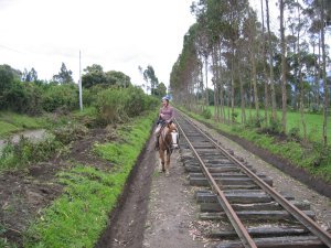 galloping along the train tracks