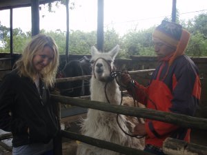 amanda getting excited to ride the llama