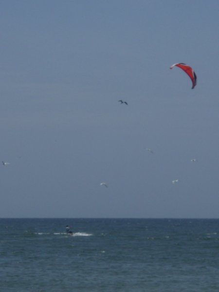 watching the kite surfers
