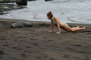 trying to lay on the beach with the seal