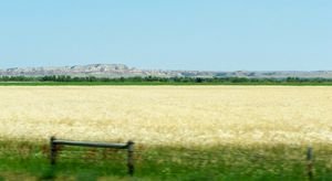 The prairies of Montana