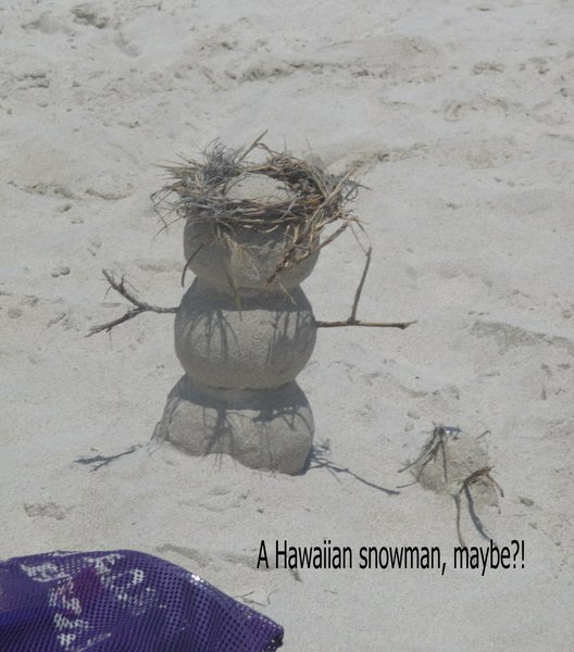 A Hawaiian snowman?