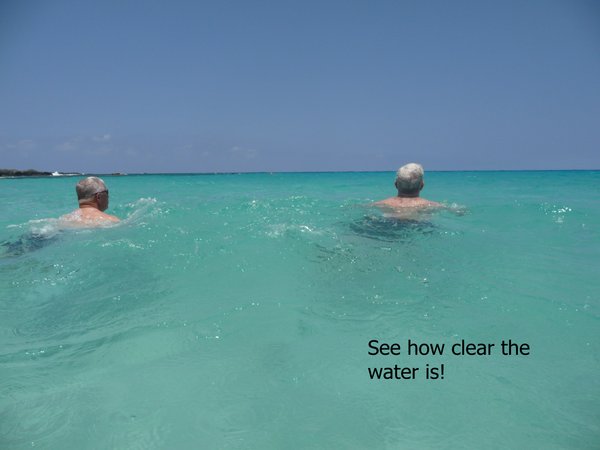 When we were snorkeling we could