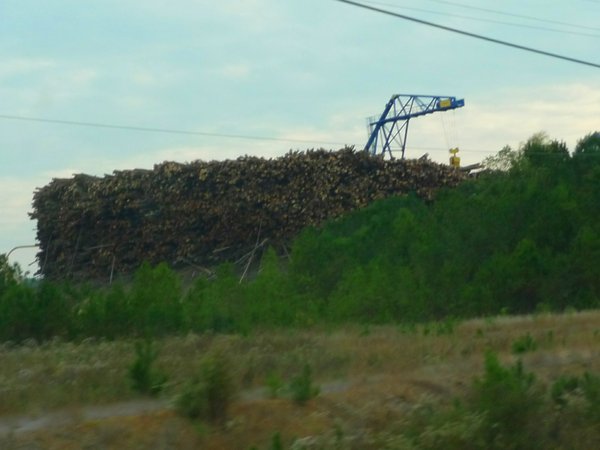 The logs in this pile will be trucked to