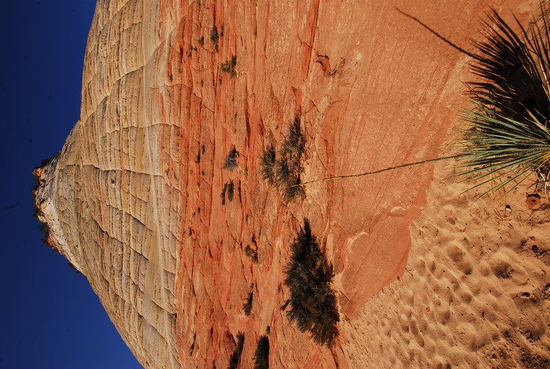 Chequerboard rock, Zion Canyon
